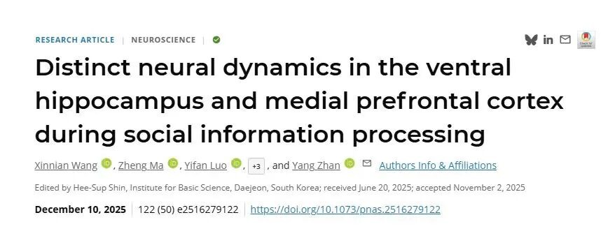 PNAS︱ug环球体育詹阳团队解密“社交脑”:腹侧海马与前额叶皮层如何分工处理社交信息