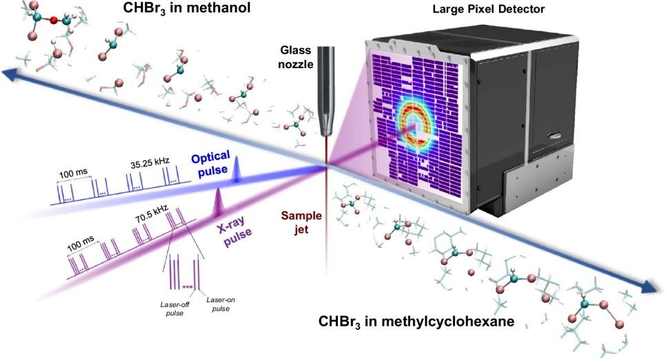 ug环球体育团队揭示溶剂调控的分子反应奥秘