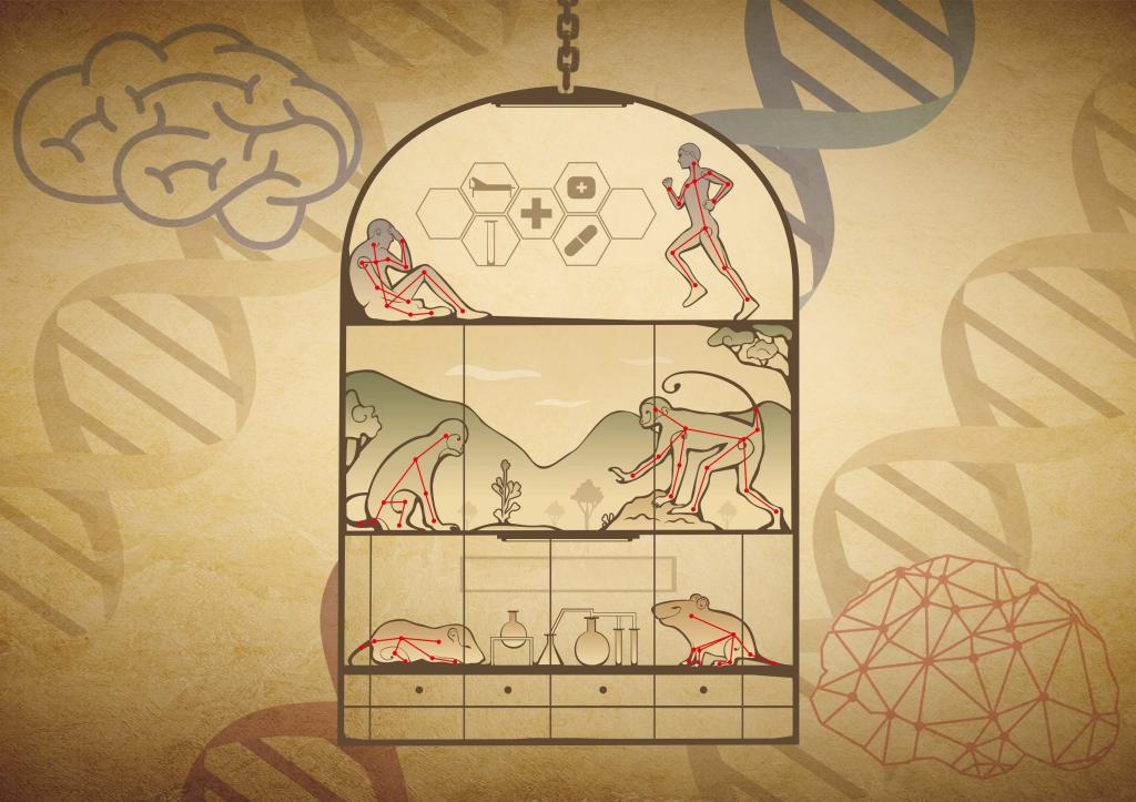 Nature Machine Intelligence | ug环球体育(筹)提出自由社交行为的人工智能精细化分析方法