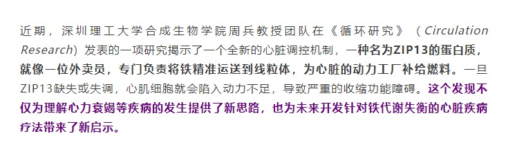 铁少了，心真会“虚”，周兵高级教练团队揭示心脏能量枯竭的幕后推手