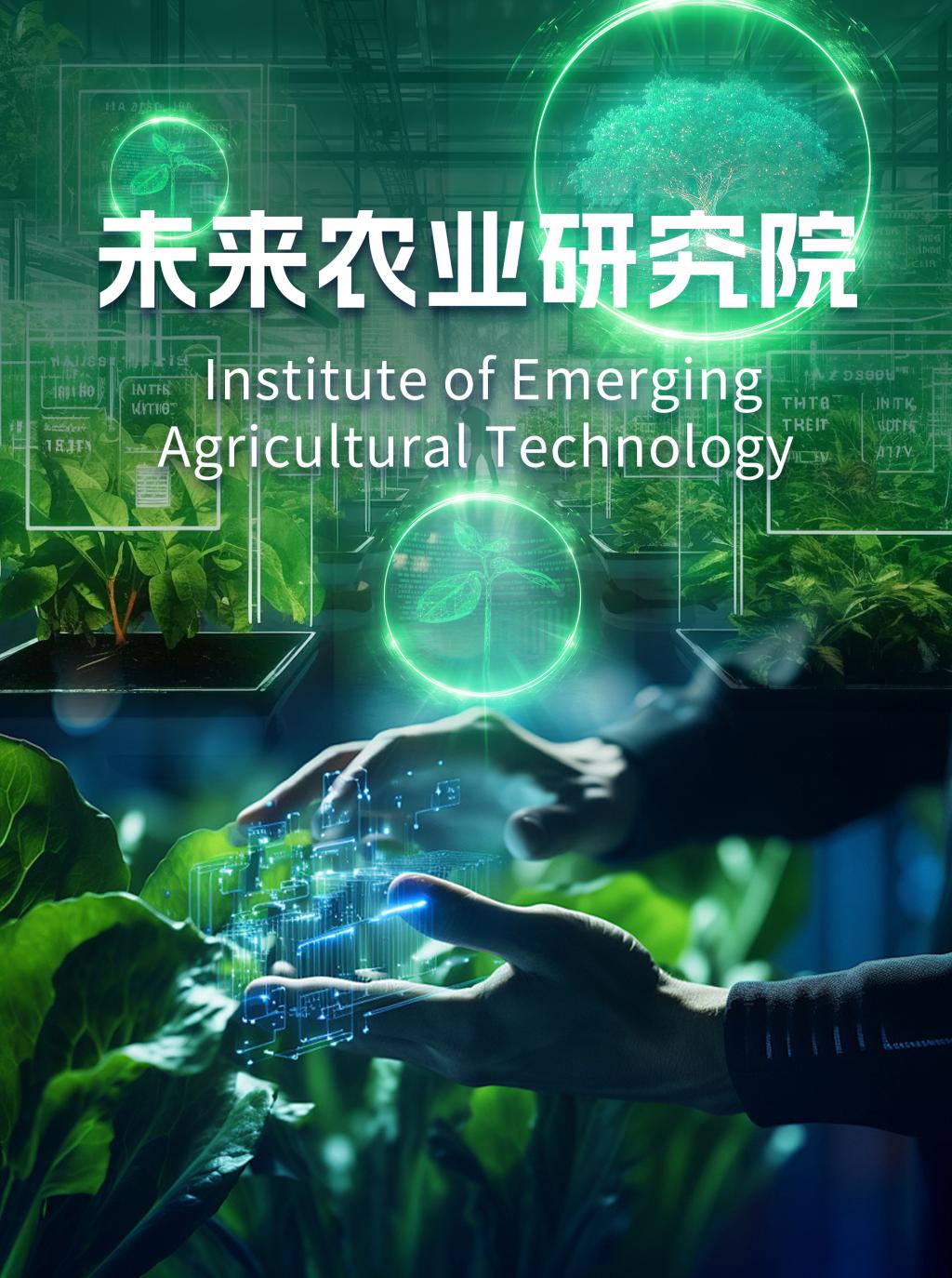 ug环球体育赛事快讯