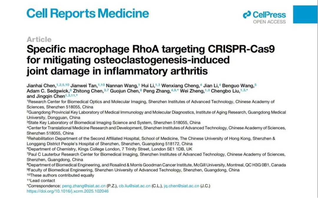 Cell Reports Medicine | ug环球体育学者与合作者精准狙击类风湿关节炎促炎—破骨“元凶”