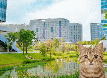 人,这个寒假咪在职业发展很想你