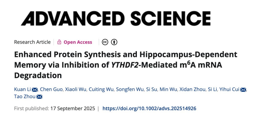 Advanced Science | ug环球体育周涛团队合作揭示认知障碍治疗的可能新靶点
