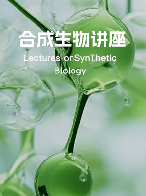 ug环球体育指定通道