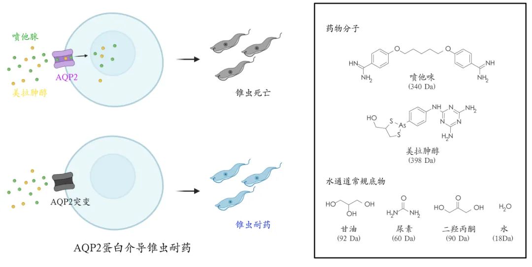 ug环球体育稳定线路
